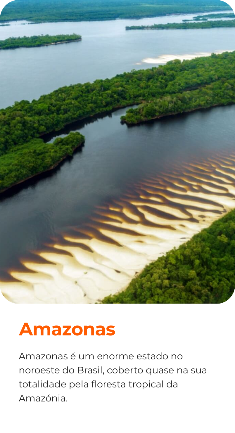 Creator Trip New frame 9